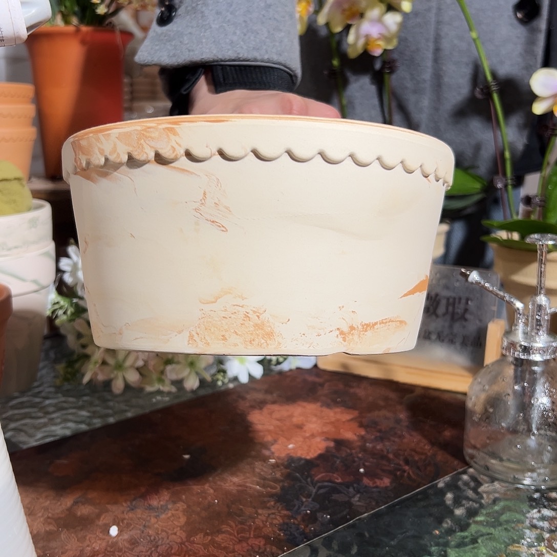 微瑕咖啡花边盆20口10高1个