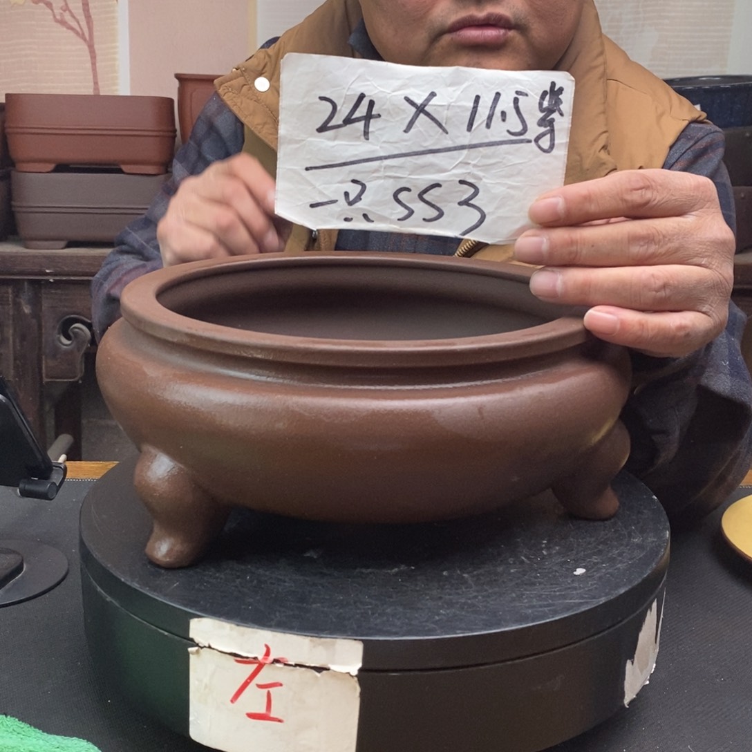 紫砂货号一只SS3