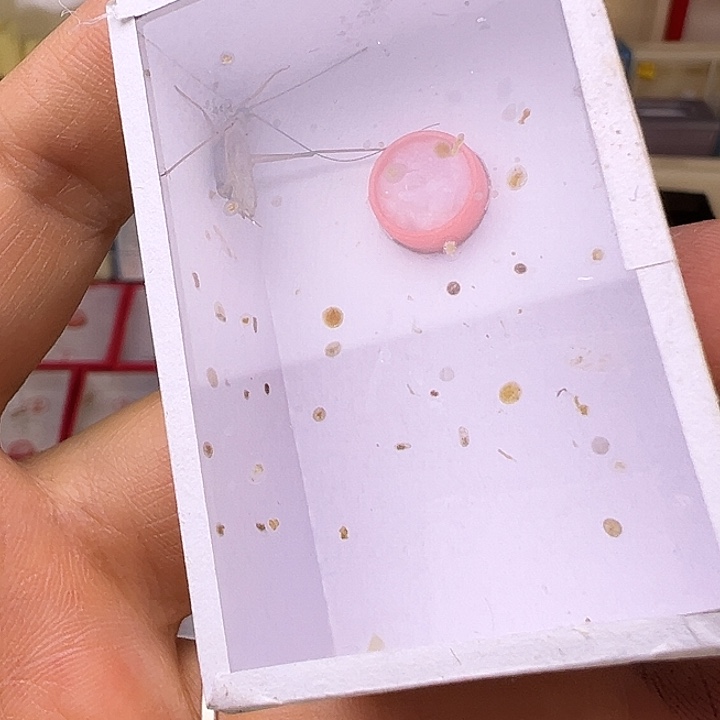 確***齋哈哈哈哈哈哈哈哈哈哈哈哈哈