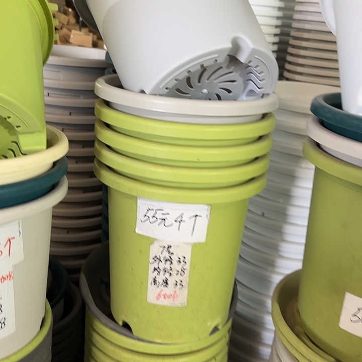 微瑕7#口径33无托果绿6个