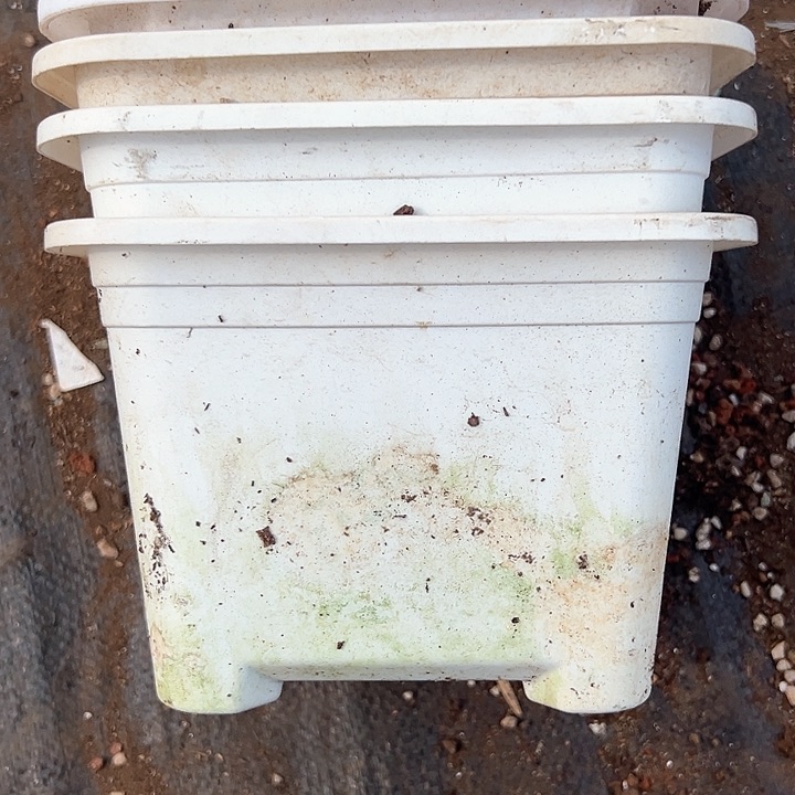 塑料口径17.5厘米 一组5个