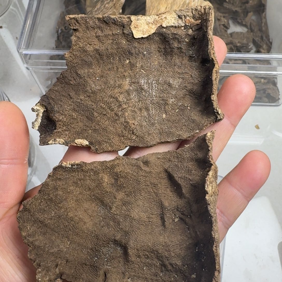 沉香碎屑沉香海南淳化料