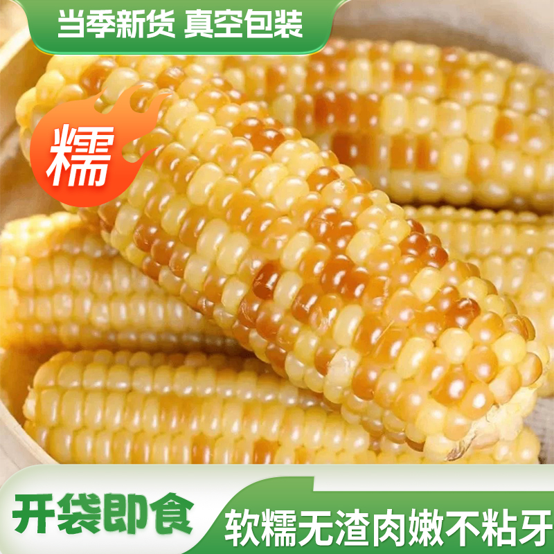云南西双版纳香糯小玉米新鲜即食真空装包香甜小花糯玉米玉米