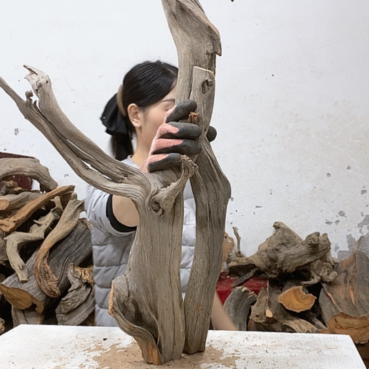 【闪购商品】柏木圣**常我们都是好孩子