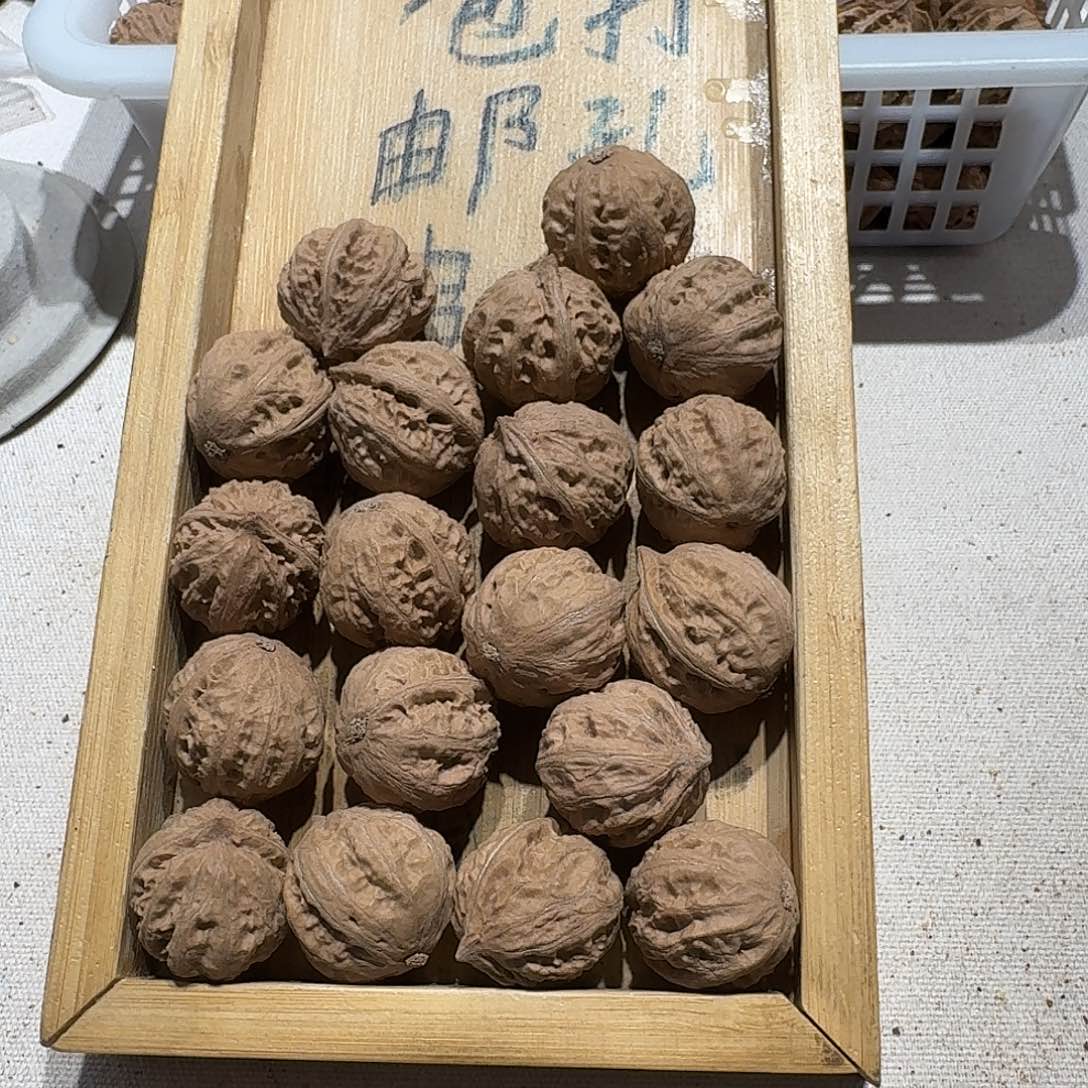 核桃手串/手链11号边23肚25高24