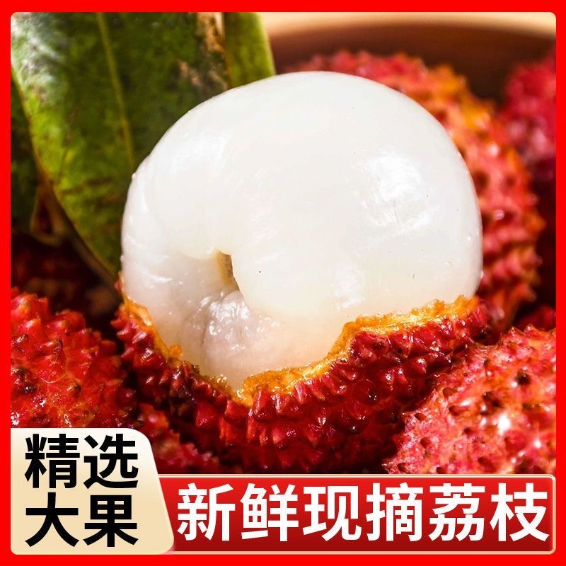 HT【京东顺丰冷链】茂名高州白糖罂荔枝中通冷链净重4.5带箱5斤