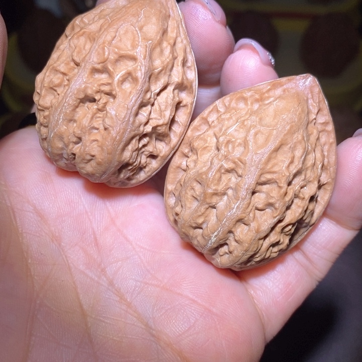 文玩核桃把件东北野生楸子小美39