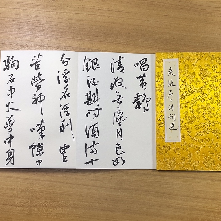 书法中书协会员作品