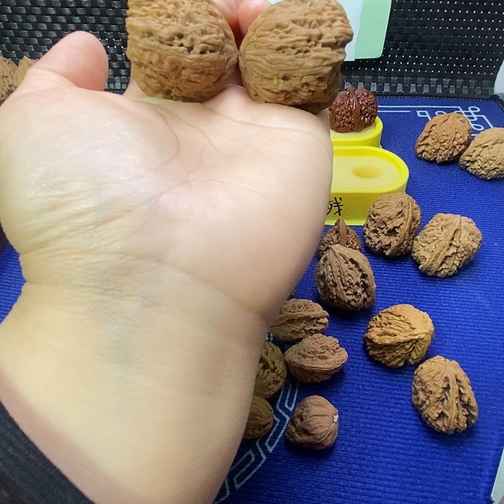 南疆38尺寸天残福利