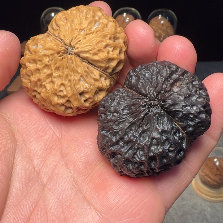 文玩核桃把件芭蕉扇阴阳46mm