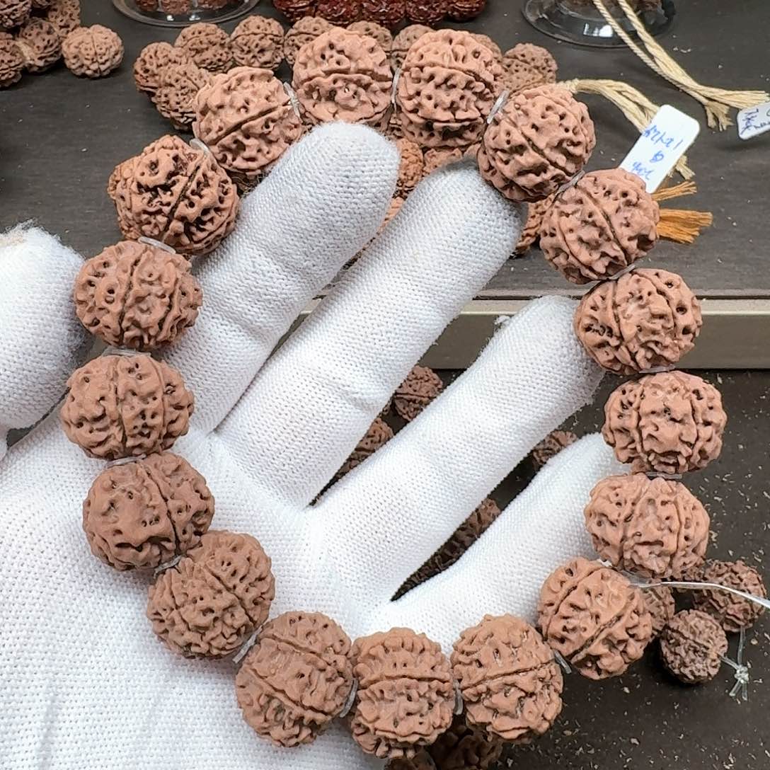 金刚菩提手串20原生态七瓣头货