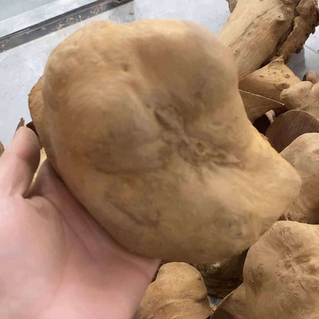 荔枝木云*荔枝木原料