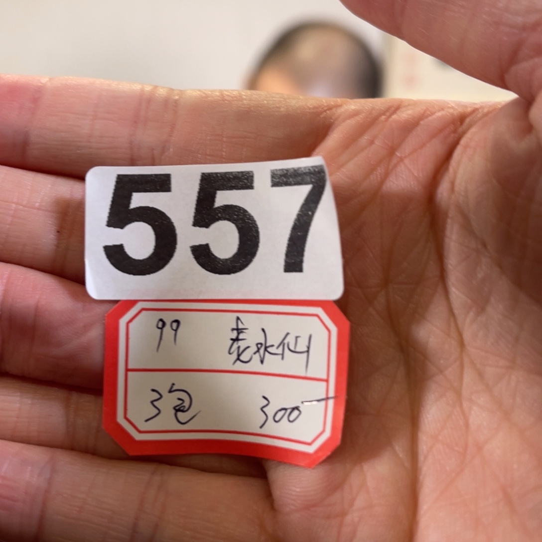 557……………………水仙…………