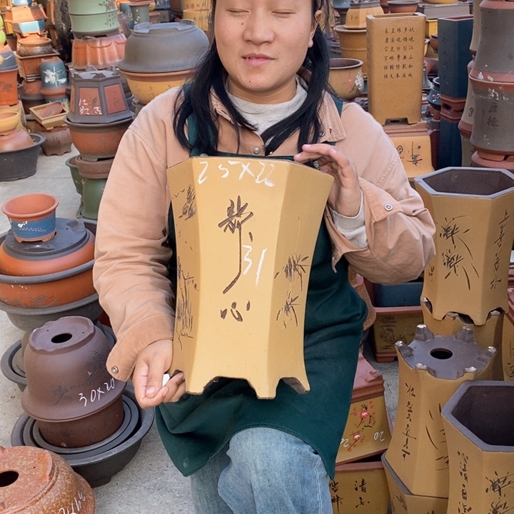紫砂花盆盆栽花卉苗木种植