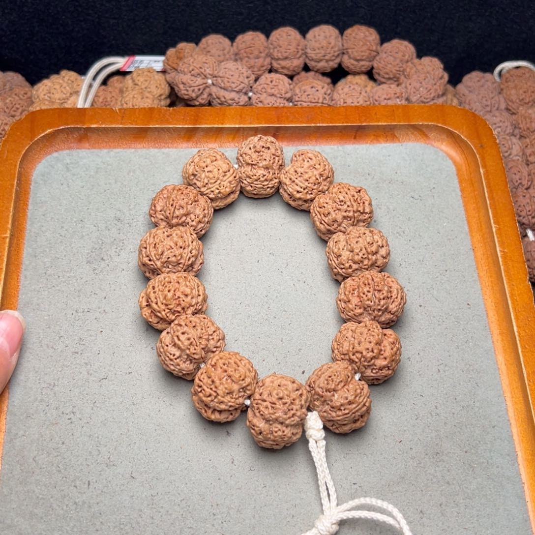 菩提4号金刚菩提古龙梅花24