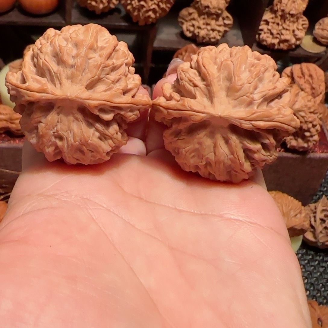 深****）苹果园……核桃…，