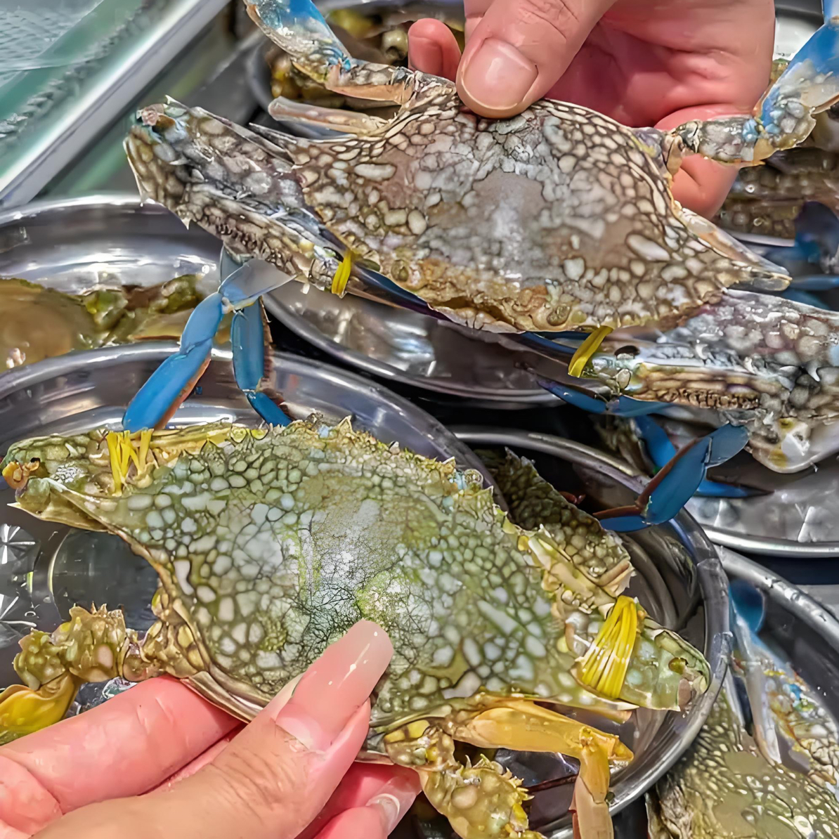【超兰婲母脐套餐】惠来本港杂鱼套餐原产地顺丰冷链包邮送礼佳品