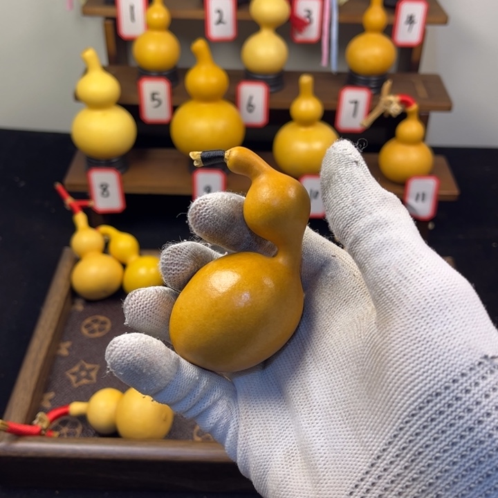 老皮弯腰曲背小蚂蚁