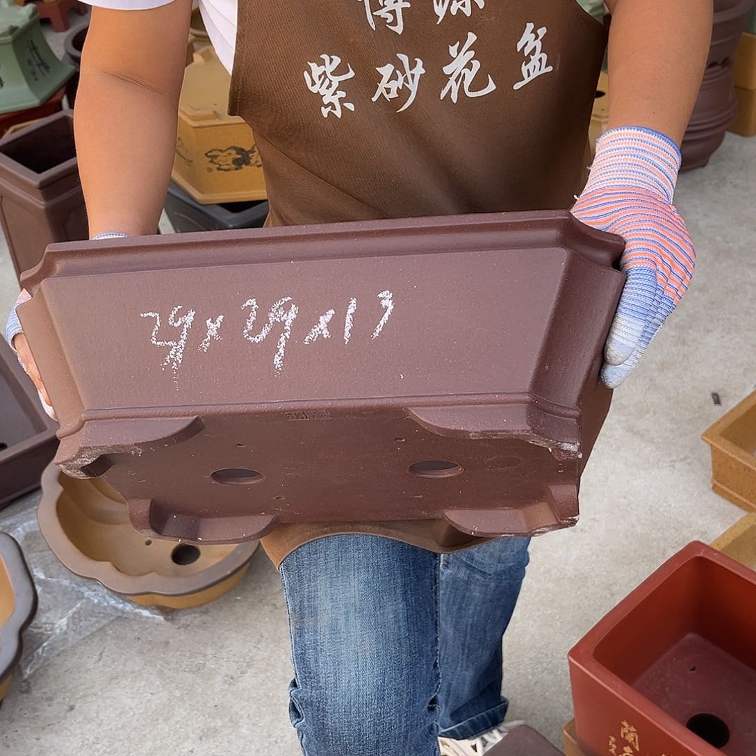 紫砂花盆盆景艺术