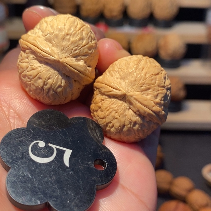 木质类粗筋棒棒糖32尺寸