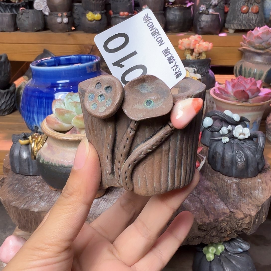 重庆小燕子欢迎大家010