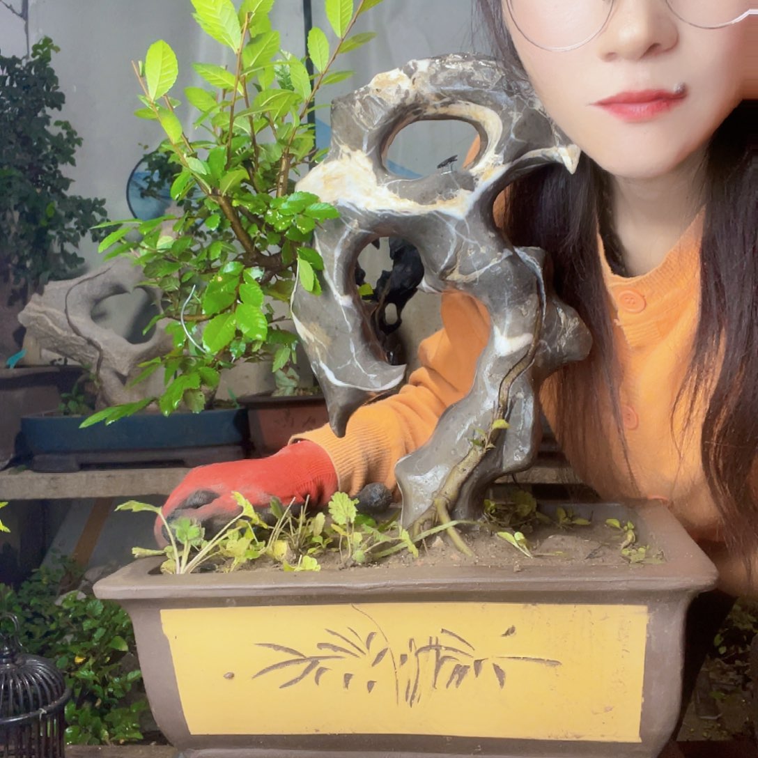 欧***械直播间不见不散年