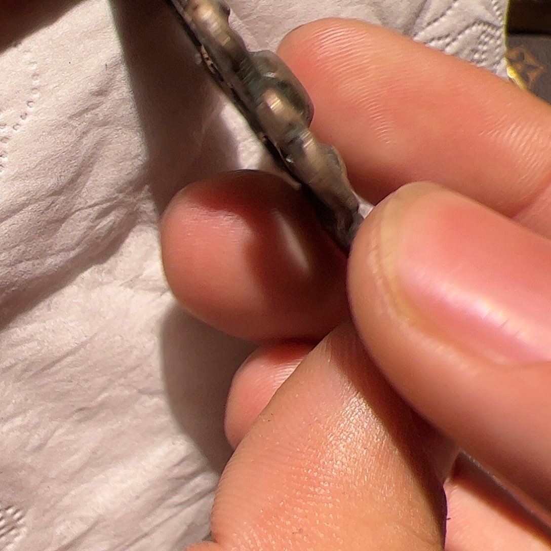 香榧木在家了一个小时