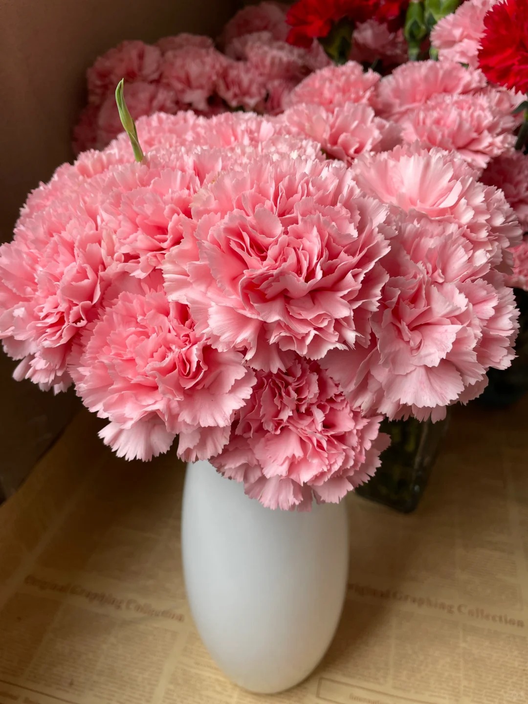 （蔓蔓）粉钻康乃馨15支 20% 防损 1单包邮