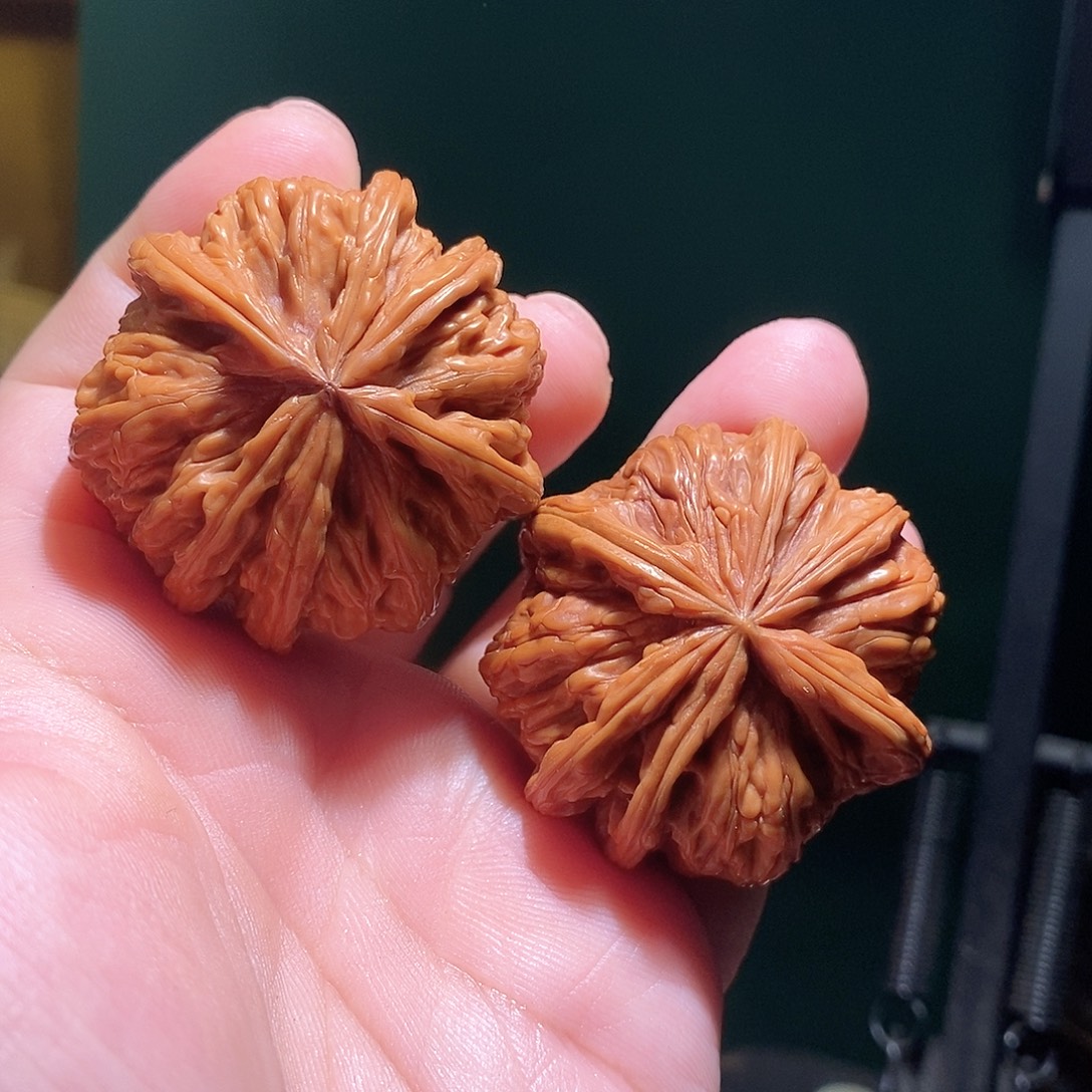 把件文玩核桃45白狮子六棱