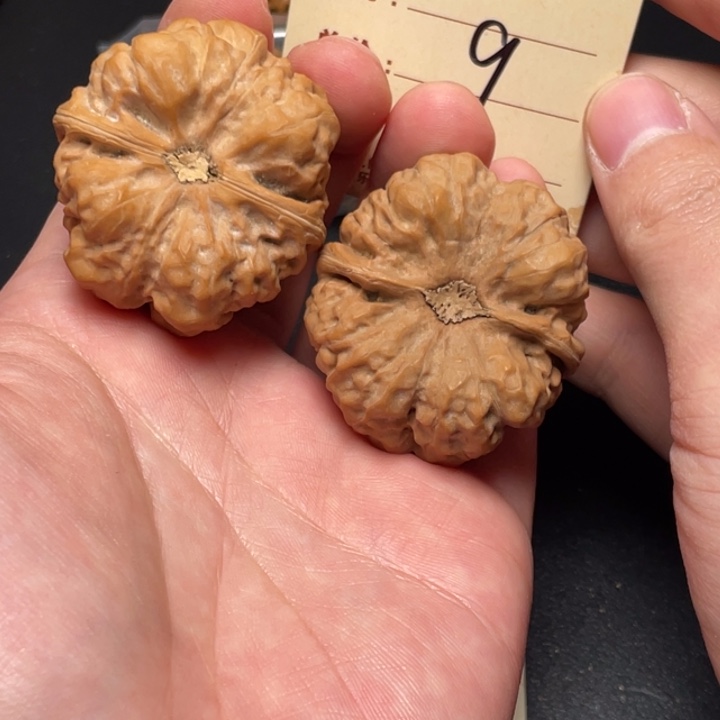 文玩核桃把件蛙蛙41尺白茬9