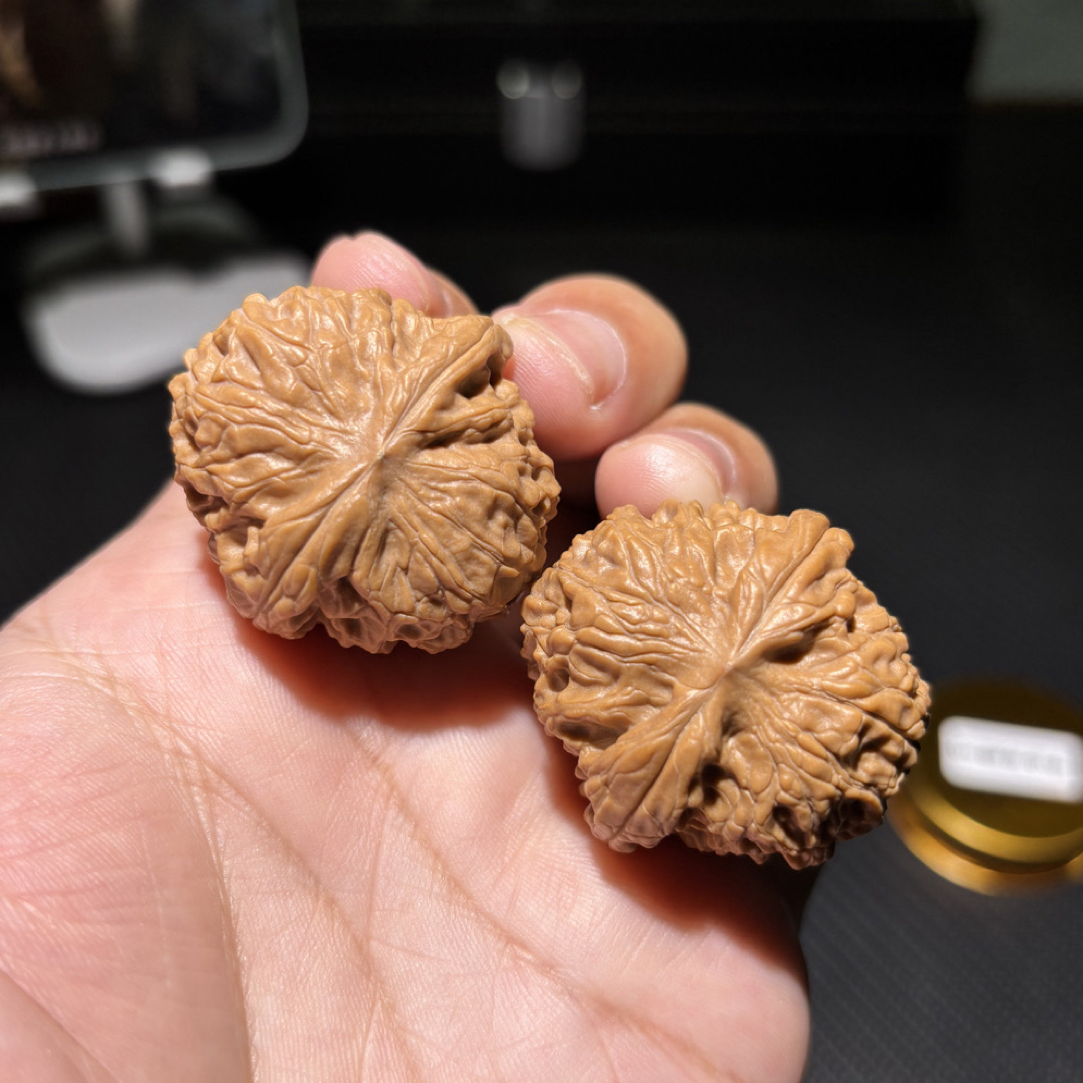 （金色传说）毕业级龙眼核桃全品无修已打底3号