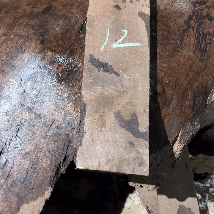 小叶金丝楠原材料