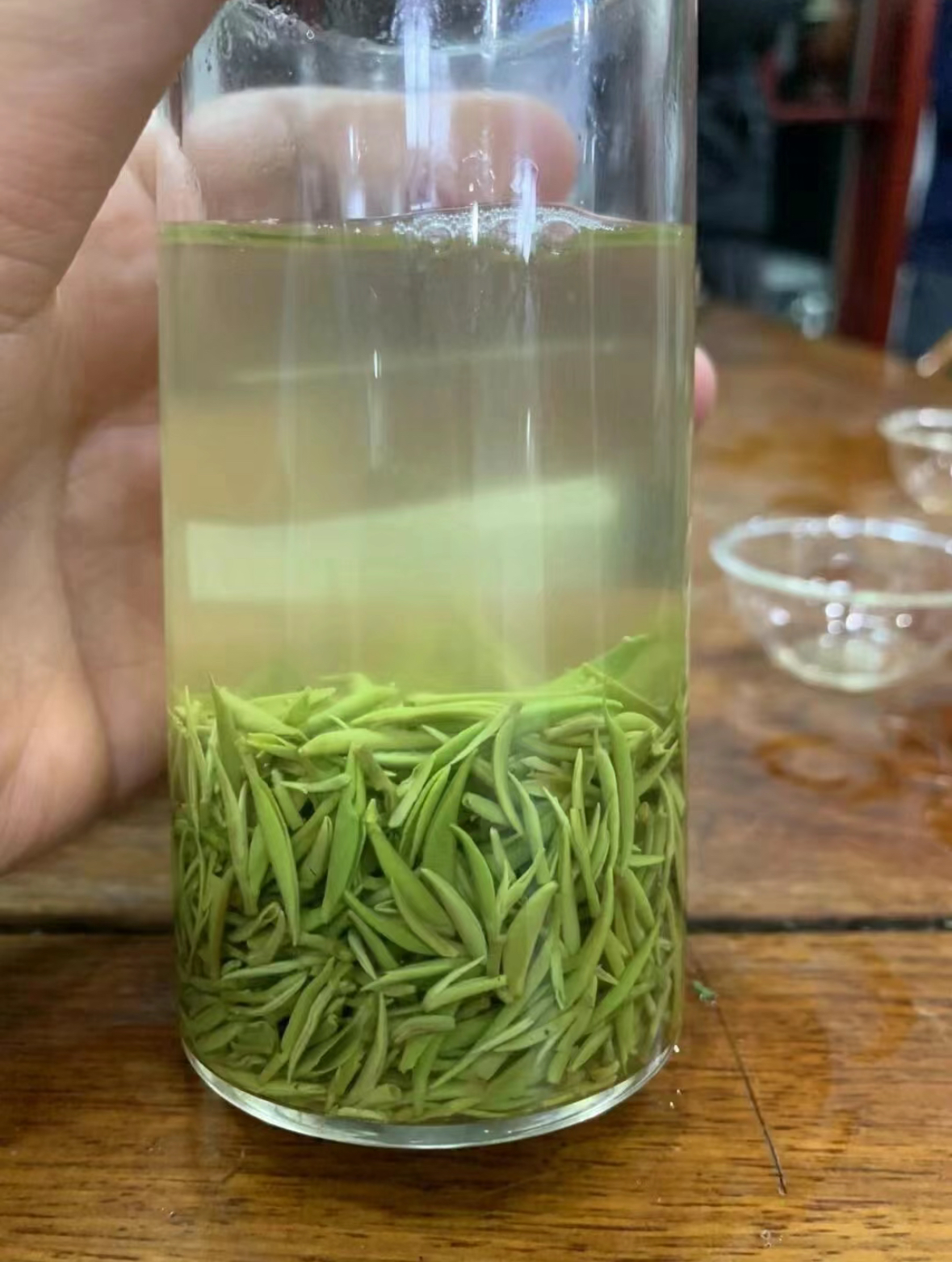 开园头采，手把茶2025年新茶 信阳毛尖 头春头采小米芽适合送礼