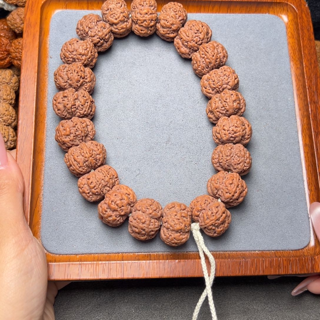 菩提21号金刚菩提六瓣手持24