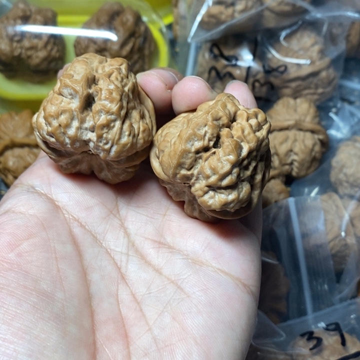 文玩核桃把件蛤蟆37