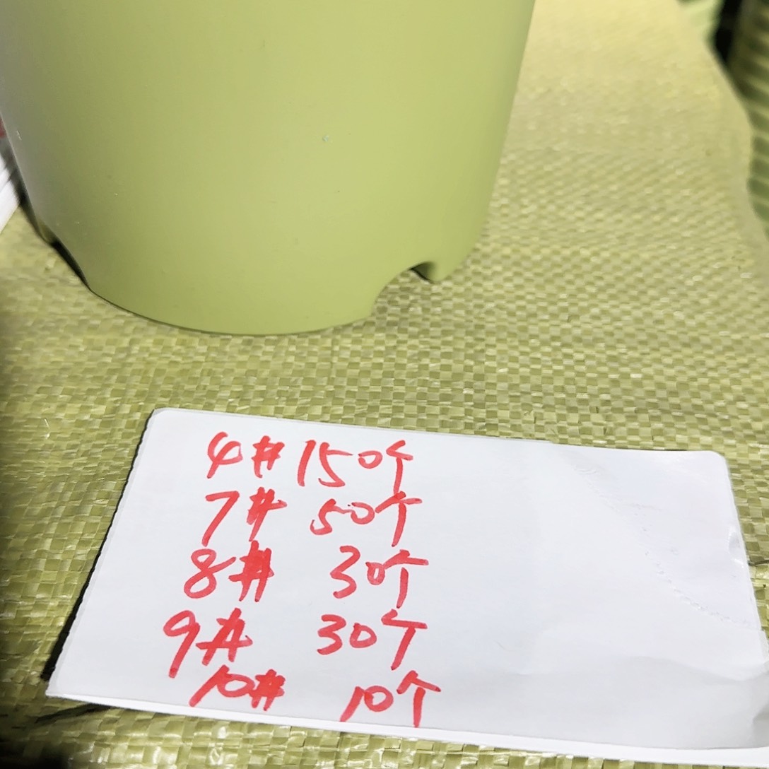 树脂默*四季无拖果绿4#7#。。。。