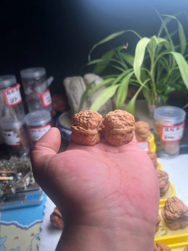 金蝉蛤蟆头文玩核桃