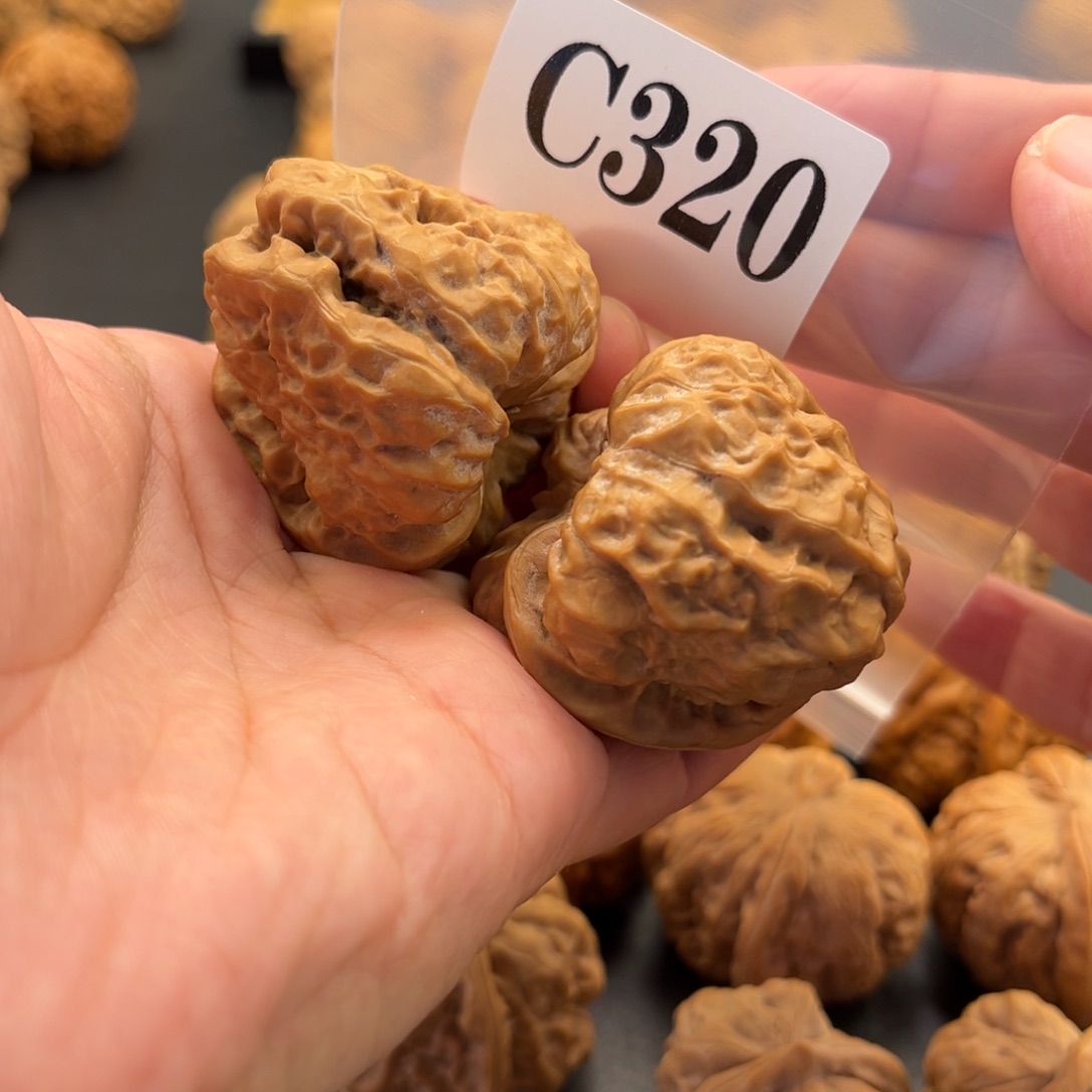 文玩核桃把件蛙蛙精品41