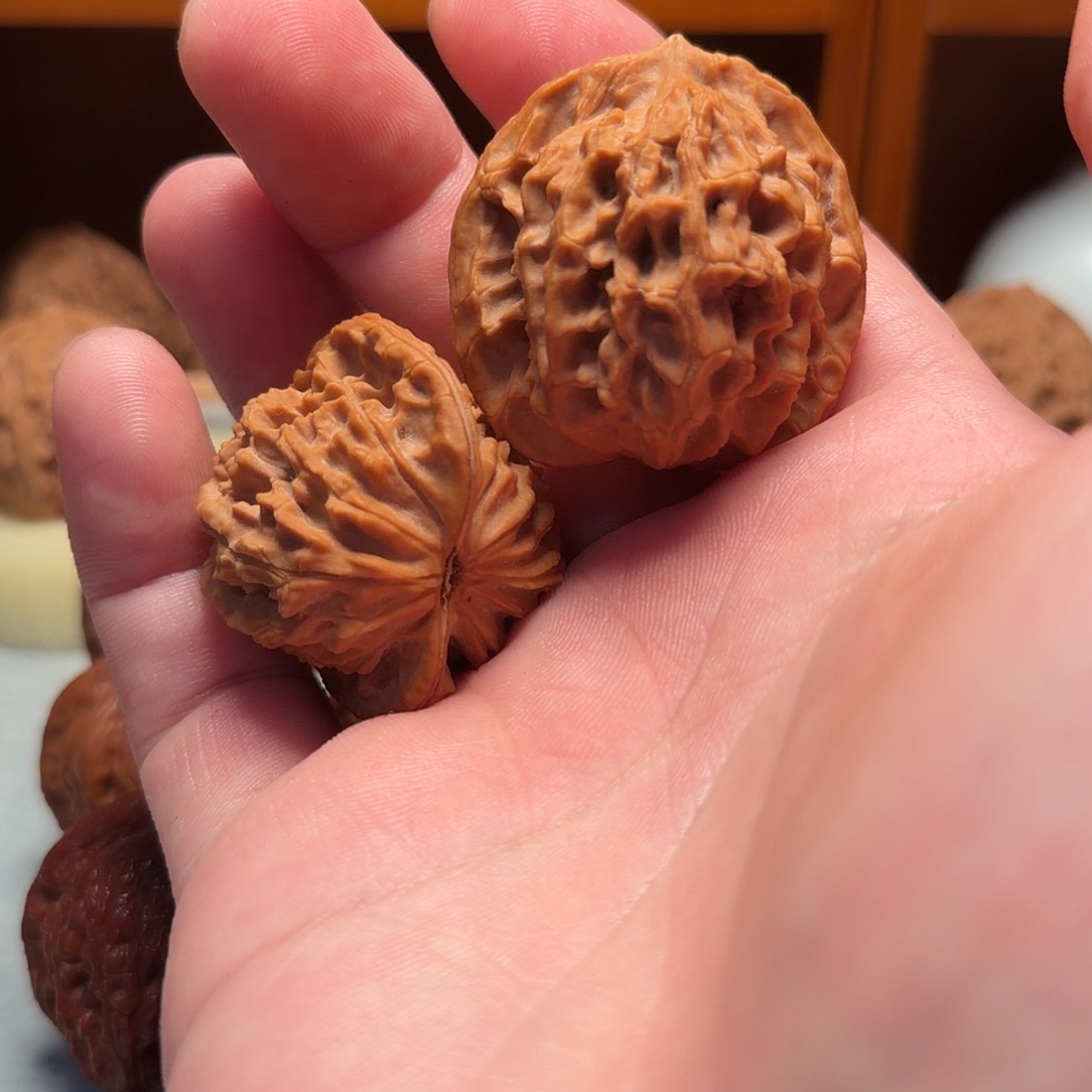 F***N把件文玩核桃原树野核橘皮帽子