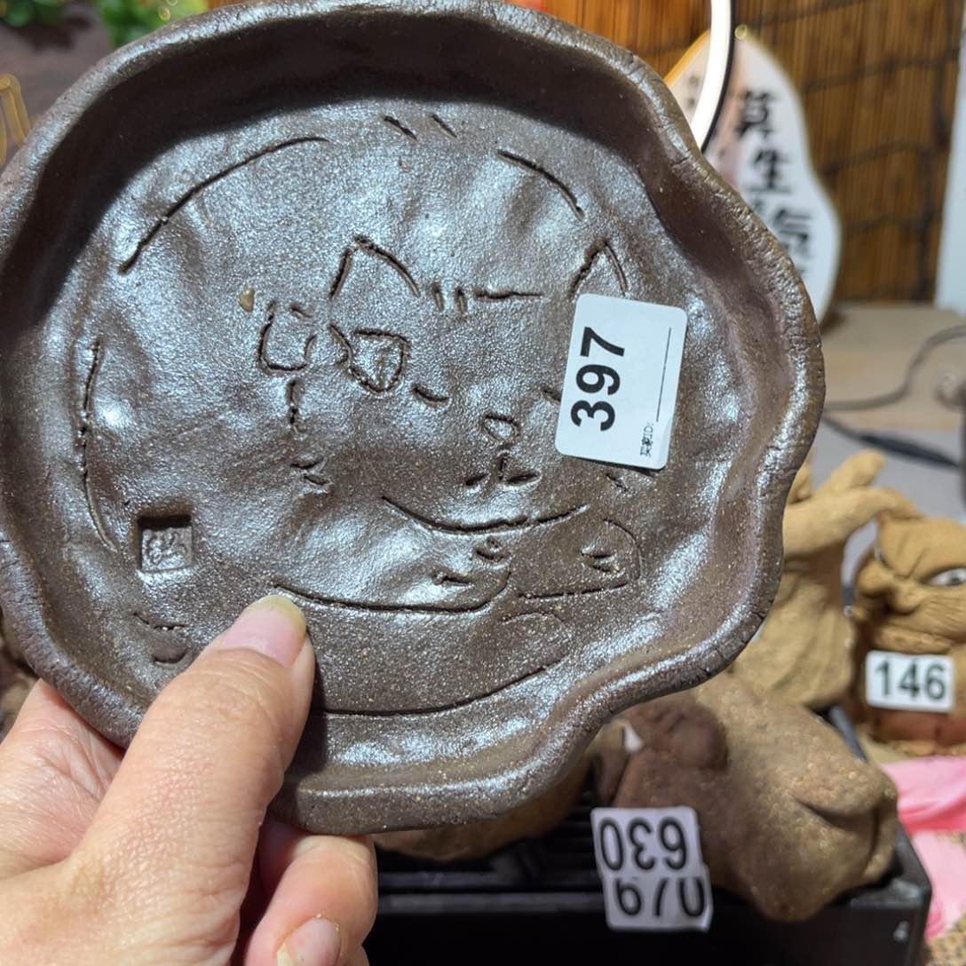 木村信弘柴烧保平