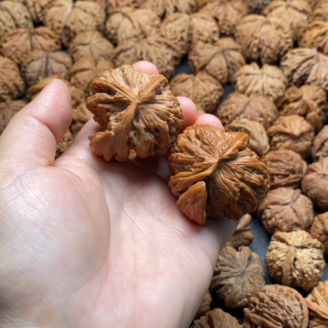 把件文玩核桃44白狮子角