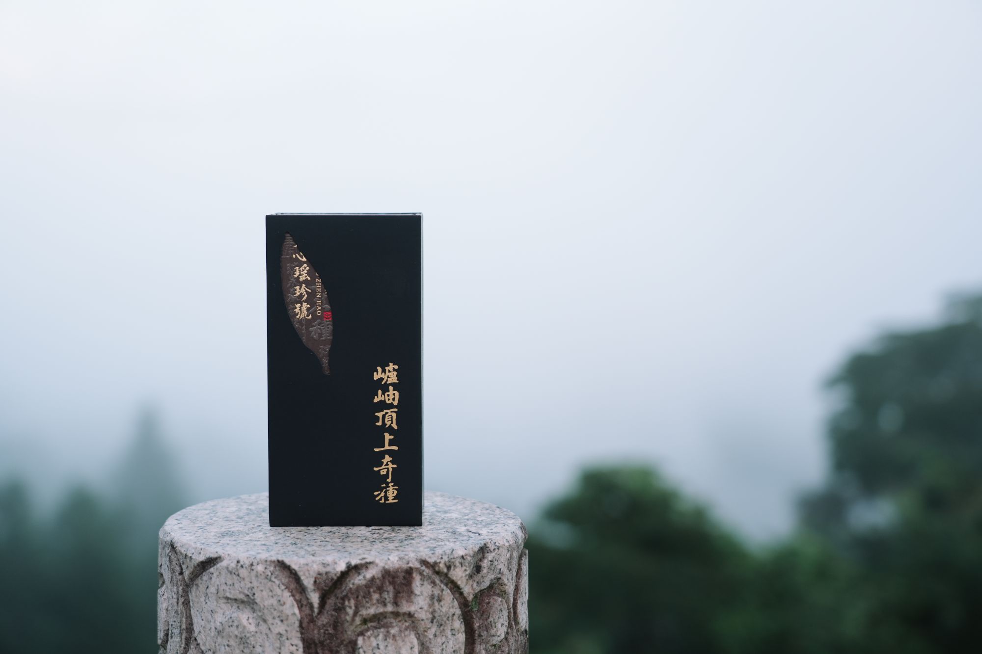 【天心瑶珍號】武夷岩茶-壚岫顶上奇种品鉴2泡-肉桂