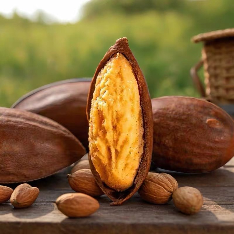 【小院山货】2025年新货诸暨香榧新货香榧坚果精品开口香榧