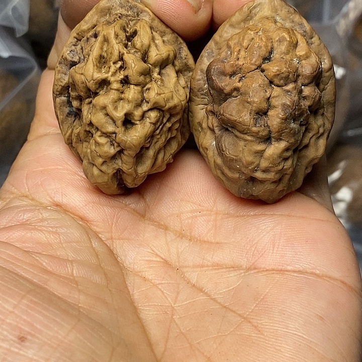 把件文玩核桃云南铁核桃51