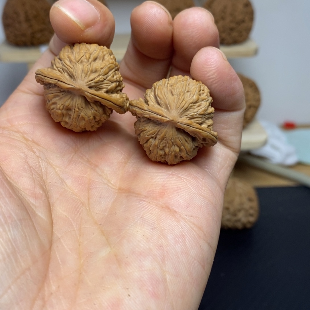 你***么大叶紫檀（黑酸枝木类）30尺寸sizuolou