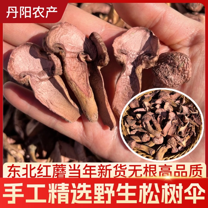 【切片精品红蘑】新货东北野生红蘑肉蘑松树伞250g起采摘营养美味