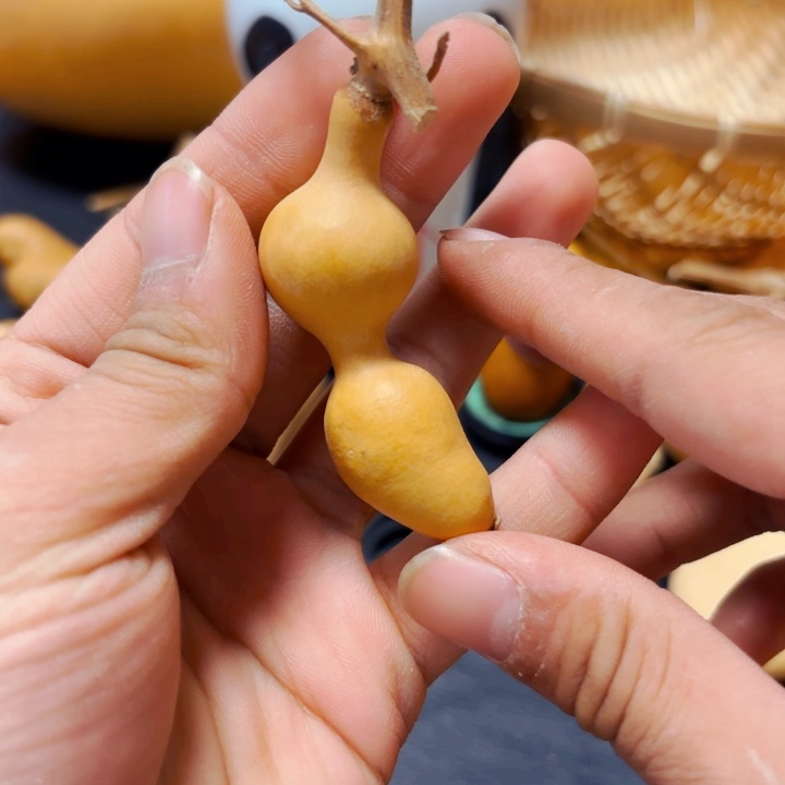 遇*猫888888888888888888888