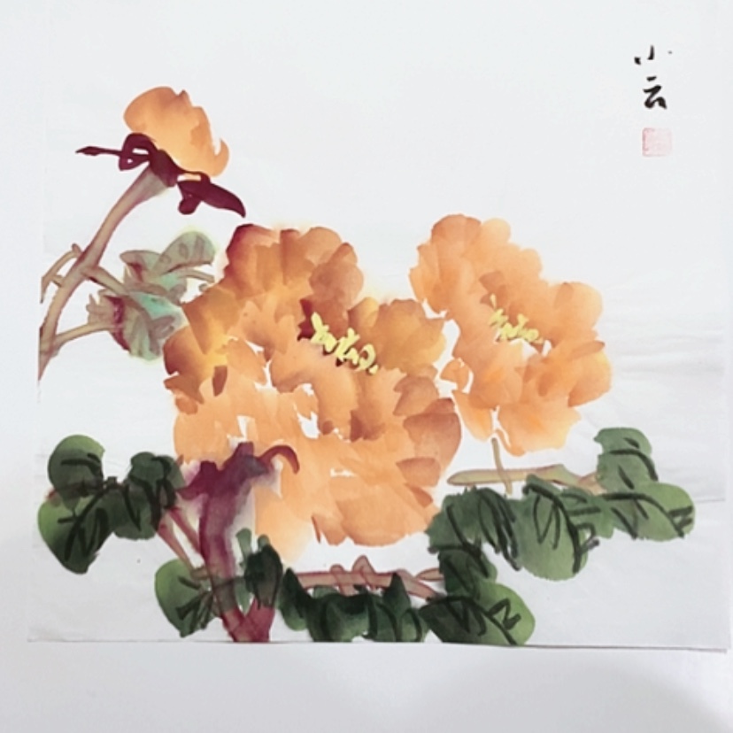 【闪购商品】一二三四五六七八九