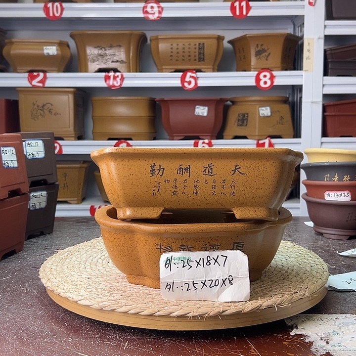 紫砂花盆蛇年大吉