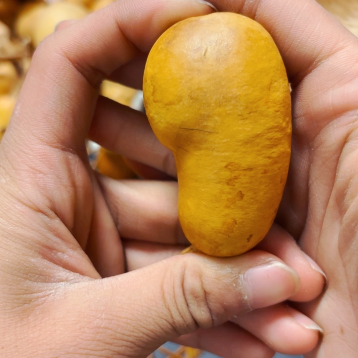 水*风裂888888888888888888